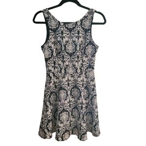 Lush Fit and Flare Dress